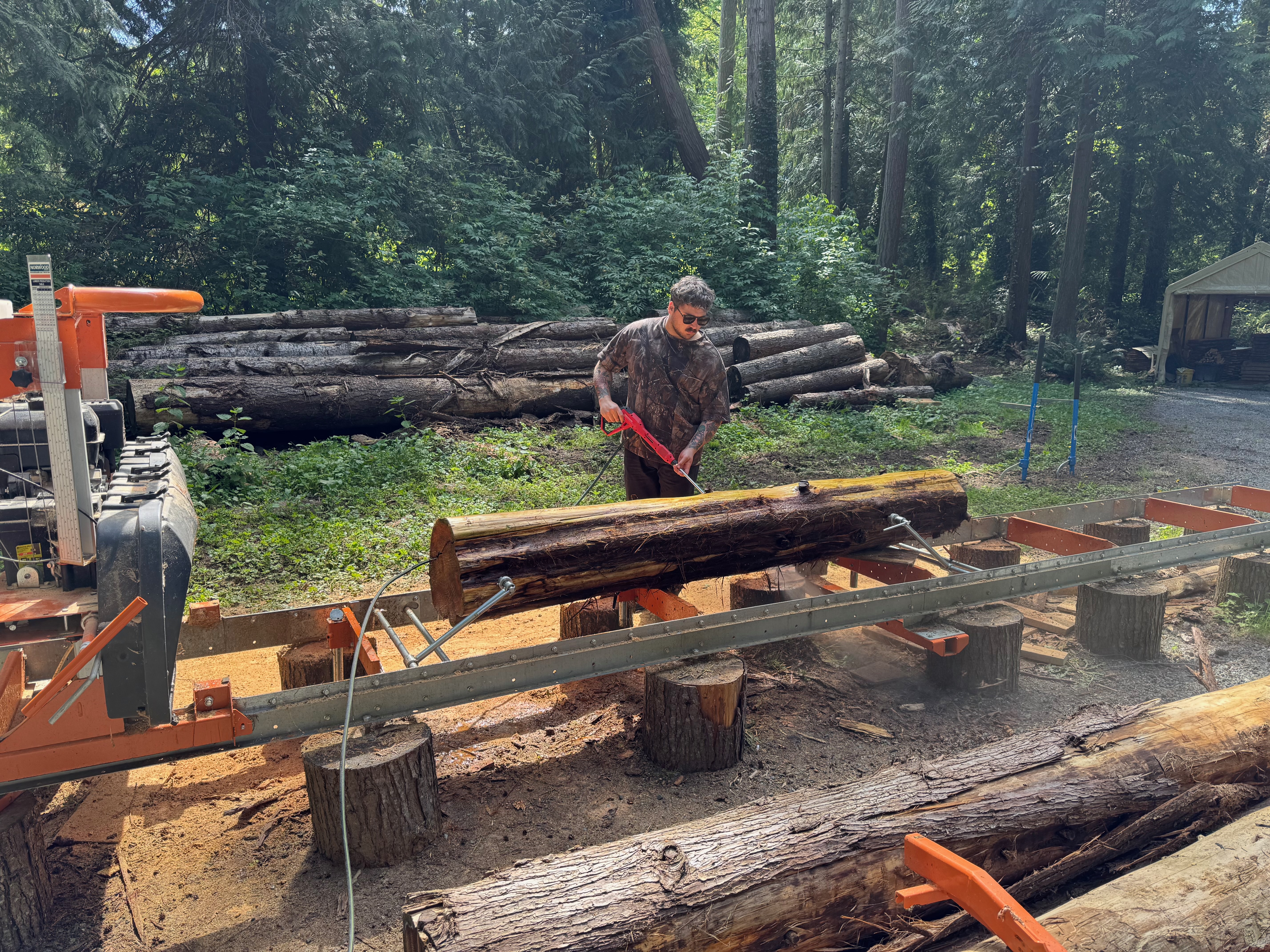 Pressure washing the cedar logs before milling — a necessary first step