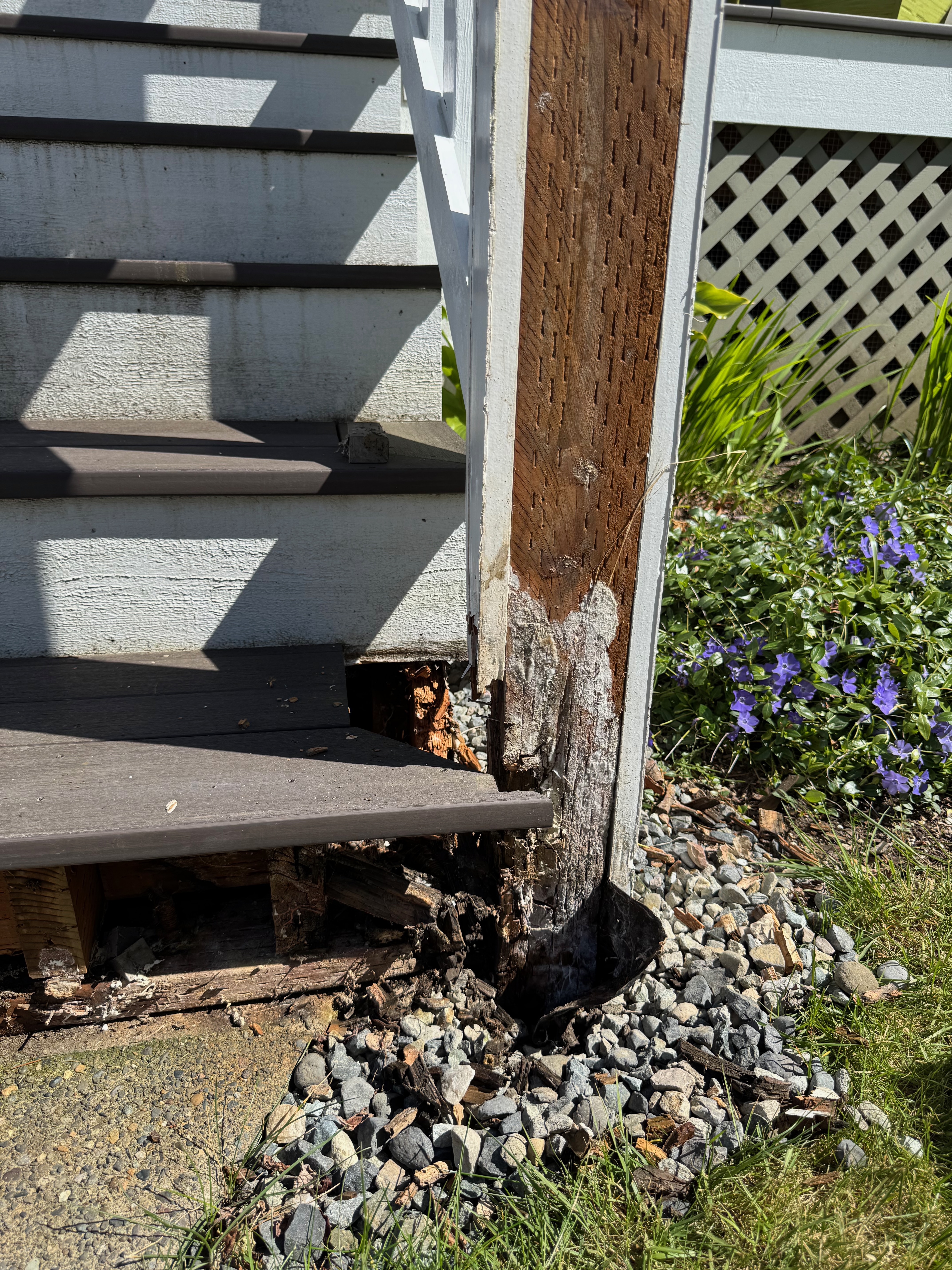 Why Your Fence or Deck Is Already Rotting — And How to Build One That Won't